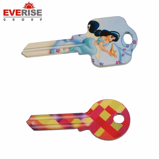 China Großhandel Hohe Qualität Neue/Neue Stil Kupfer Farbe Schloss Haus/Haus Tür Blank Schlüssel Preis mit Mustern